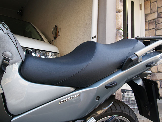 Motorcycle Customization 2010 - 1400GTR